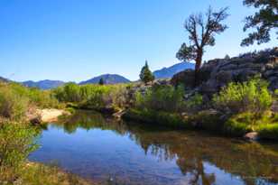 Kern River-0184.jpg Kern River-0184.jpg
